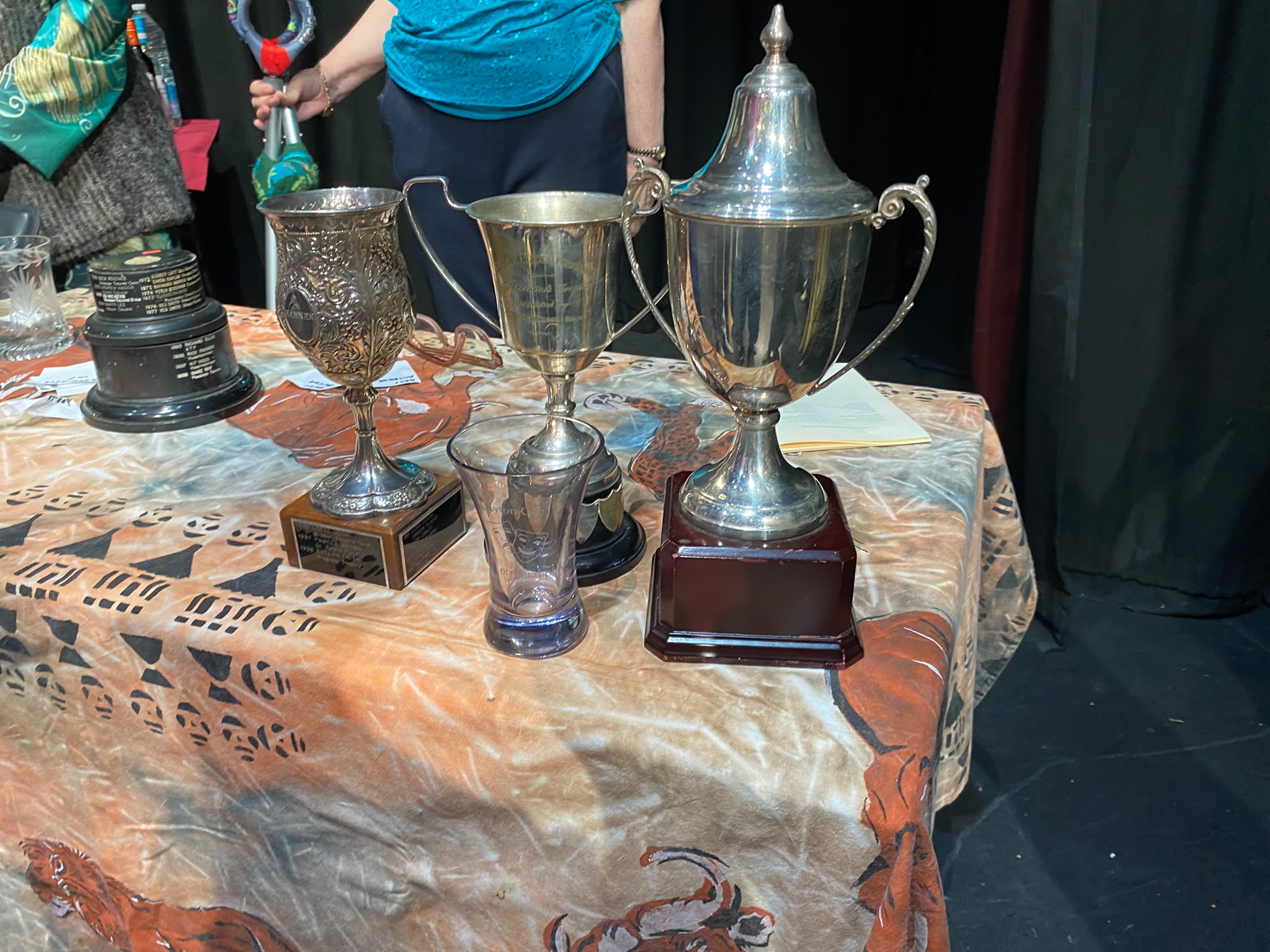 All the trophies we won at Henley Drama Festival.