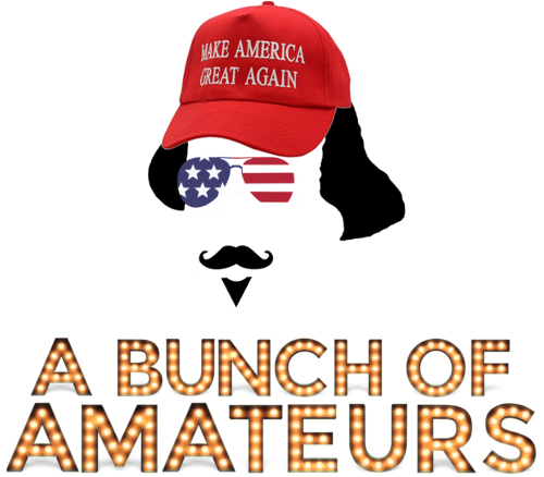 A Bunch Of Amateurs logo